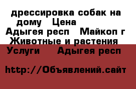 дрессировка собак на дому › Цена ­ 16 000 - Адыгея респ., Майкоп г. Животные и растения » Услуги   . Адыгея респ.